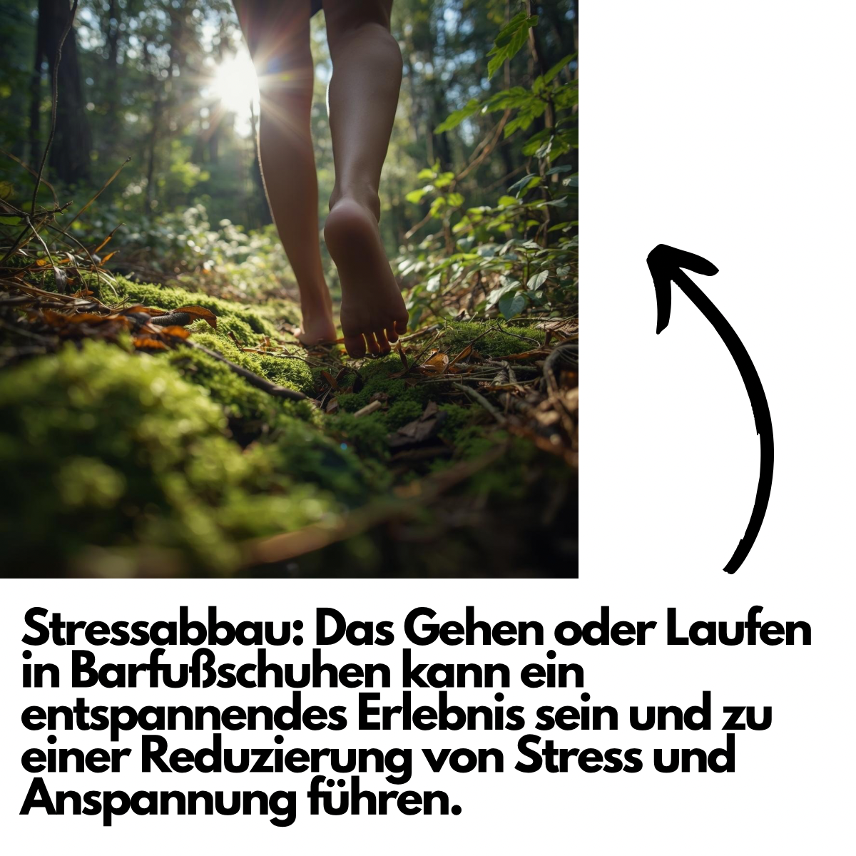 Harmony - gesunde und bequeme Barfußschuhe