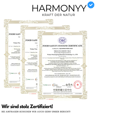 Unser Shilajit 100% reines HARZ